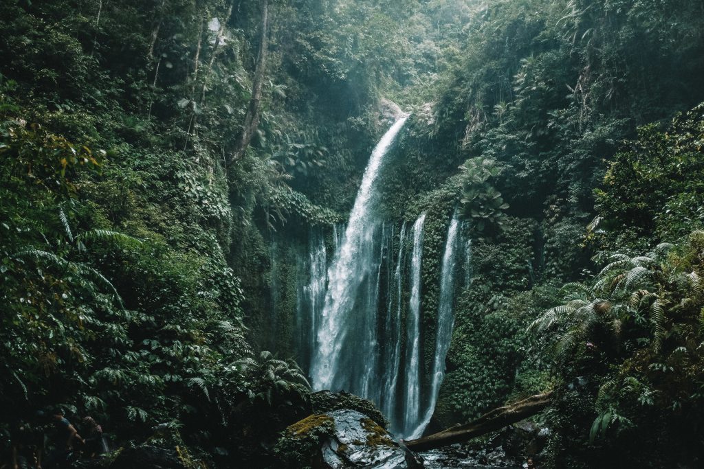 benjamin janos ym99ig7ilra unsplash